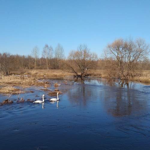 Plisa river.