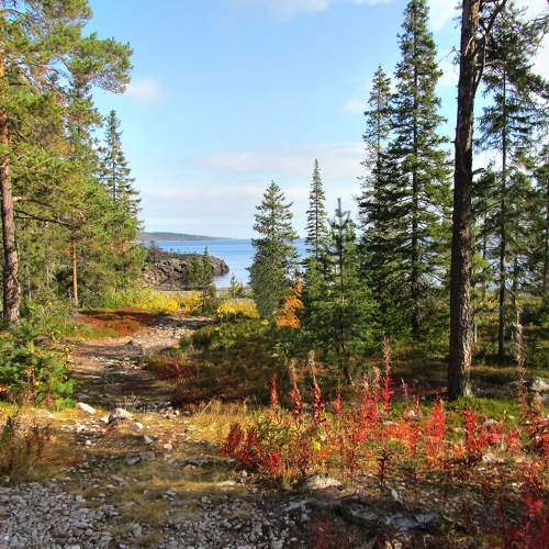 Photo #8369856