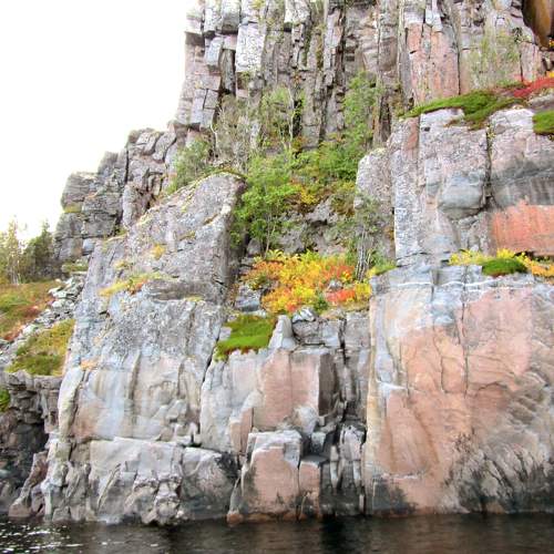Photo #8369858