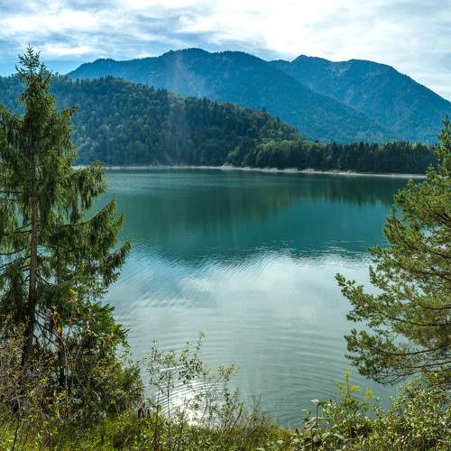 Photo #8369901