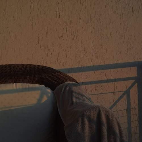 Photo #8369938
