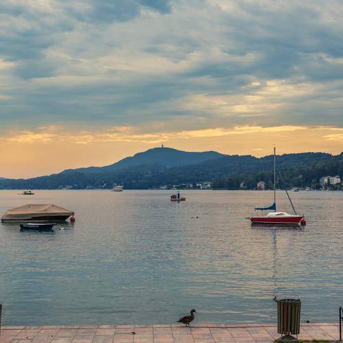 Photo #8370259