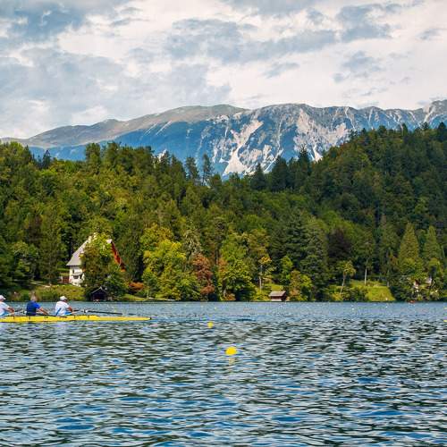 Photo #8370268