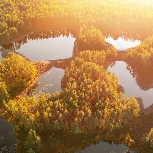 Photo #8370318