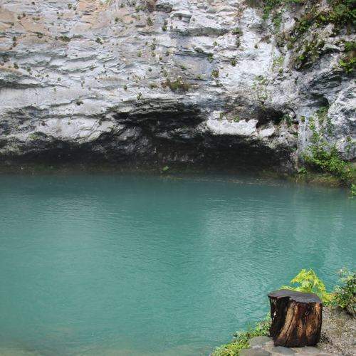 Photo #8370411