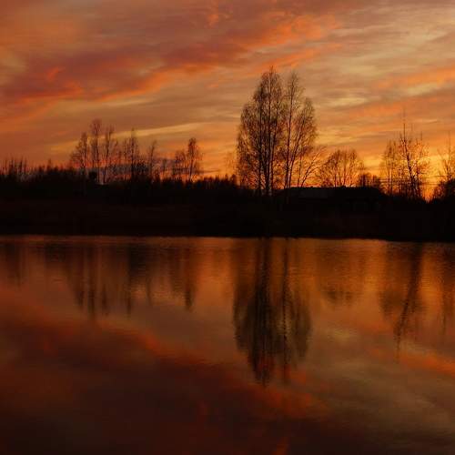 Photo #8370485