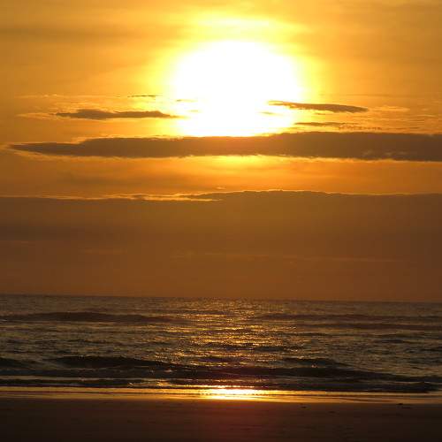 Photo #8370689