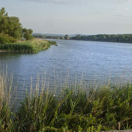 Photo #8370709
