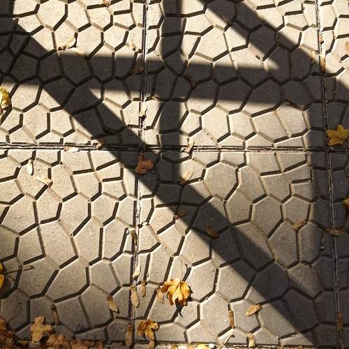 Photo #8370784