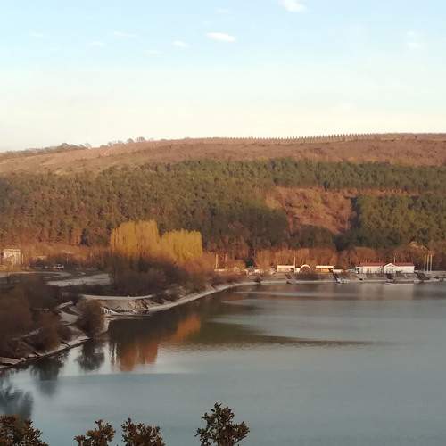 Photo #8370893