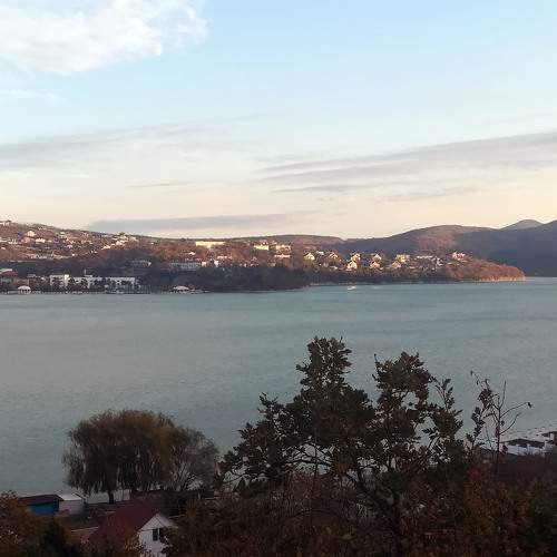 Photo #8370911