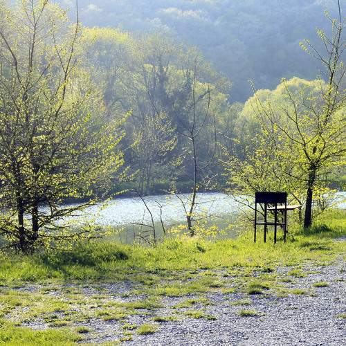Photo #8370927