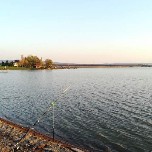 Photo #8370967
