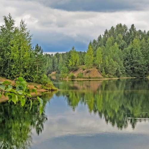 Photo #8371015