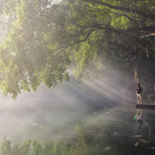 Photo #8371151
