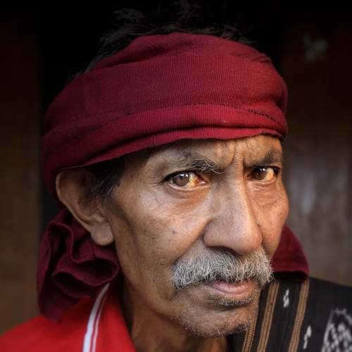 Eyes of thousand tales