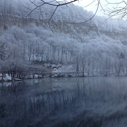 Photo #8371195