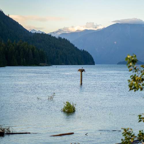 Photo #8371266