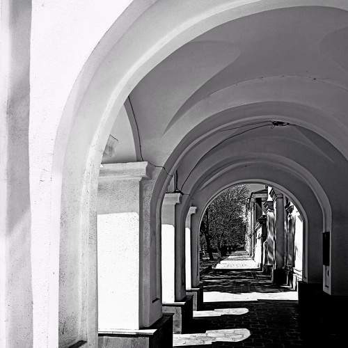 Photo #8371320