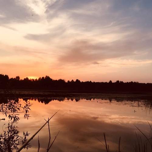 Photo #8371549