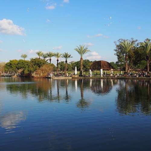 Photo #8371597