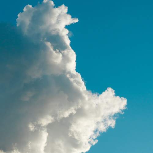 Photo #8371603