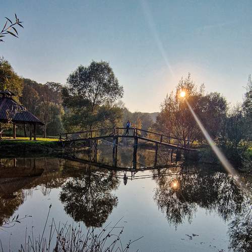 Photo #8371662
