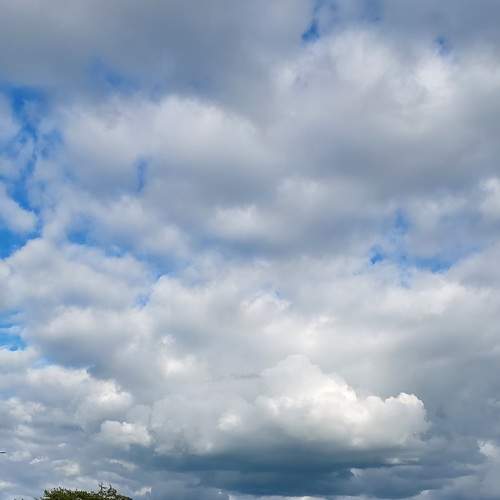 Photo #8371723