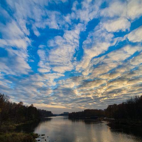 Photo #8371817