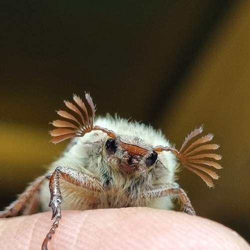 Photo #8371854