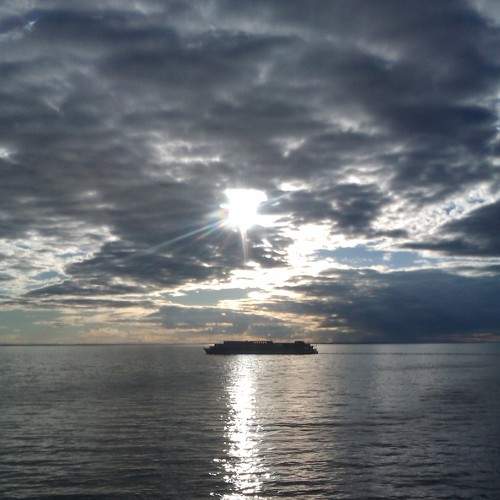 Photo #8372143