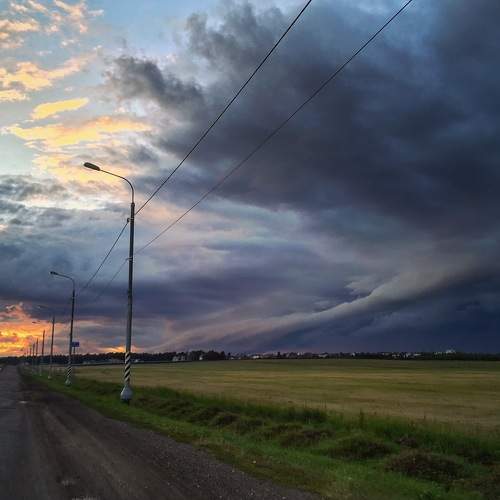 Photo #8372332