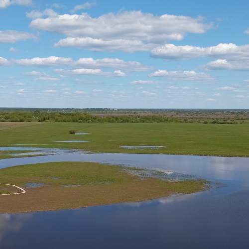 Photo #8372361
