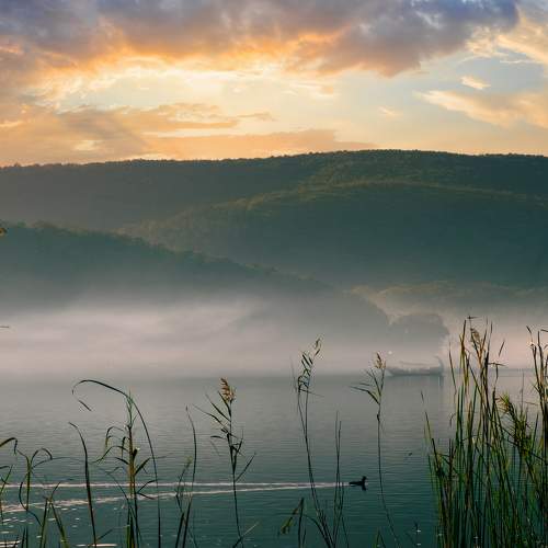 Photo #8372402
