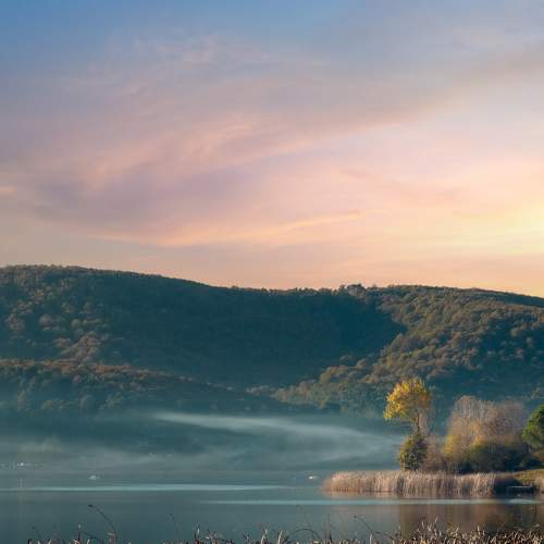 Photo #8372403