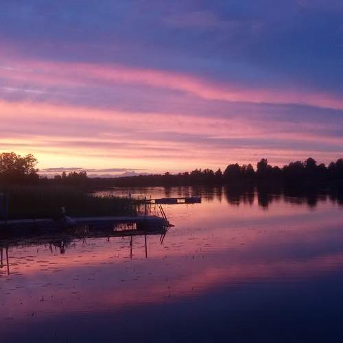 Photo #8372512