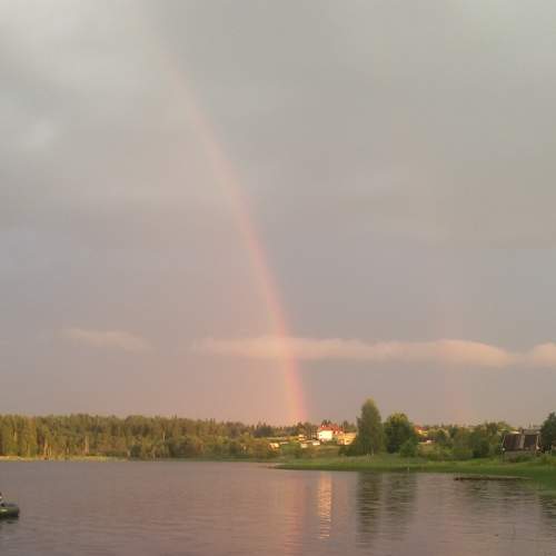 Photo #8372520