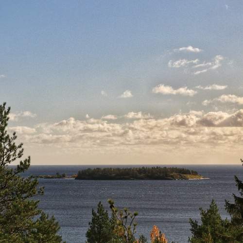 Photo #8372684
