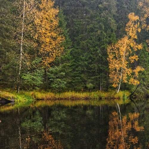 Photo #8372690
