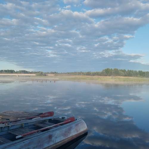 Photo #8372744