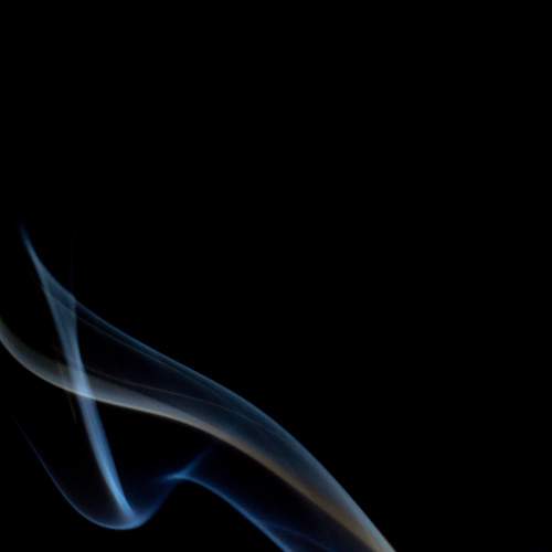 Photo #8372802