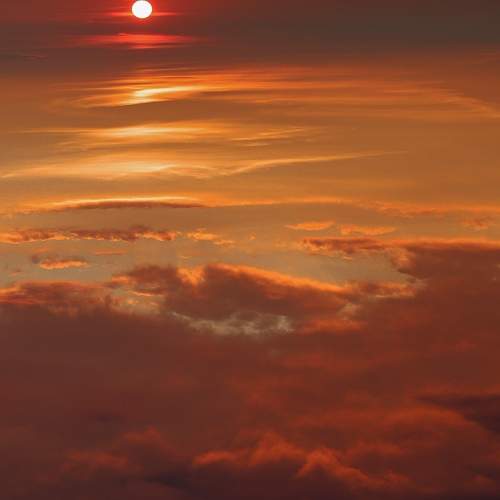Photo #8373303