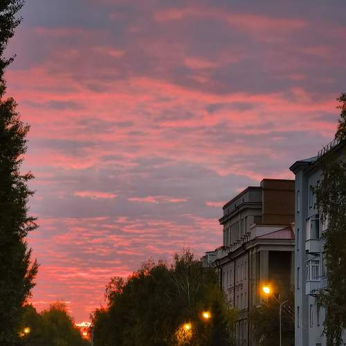 Photo #8373305