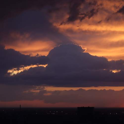Photo #8373307