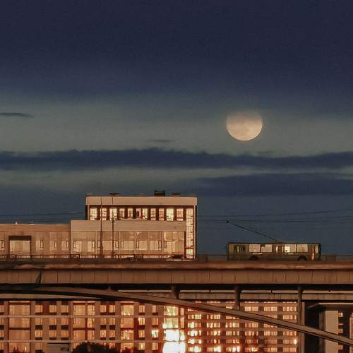 Photo #8373308