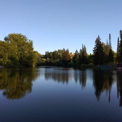 Photo #8373443
