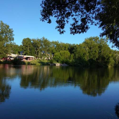 Photo #8373444