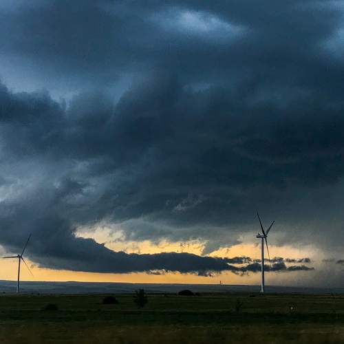 Photo #8373465