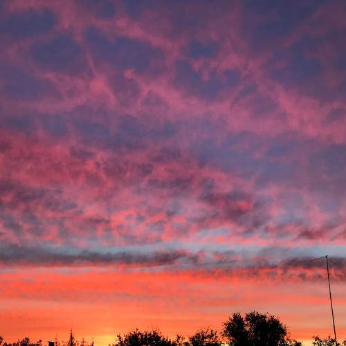 Photo #8373466