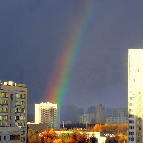 Photo #8373506